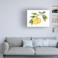 thumbnail image 3 of Kathleen Parr McKenna 'Citrus Garden I' Canvas Art, 3 of 4