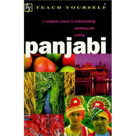 Panjabi (Teach Yourself (McGraw-Hill)) [Paperback - Used]