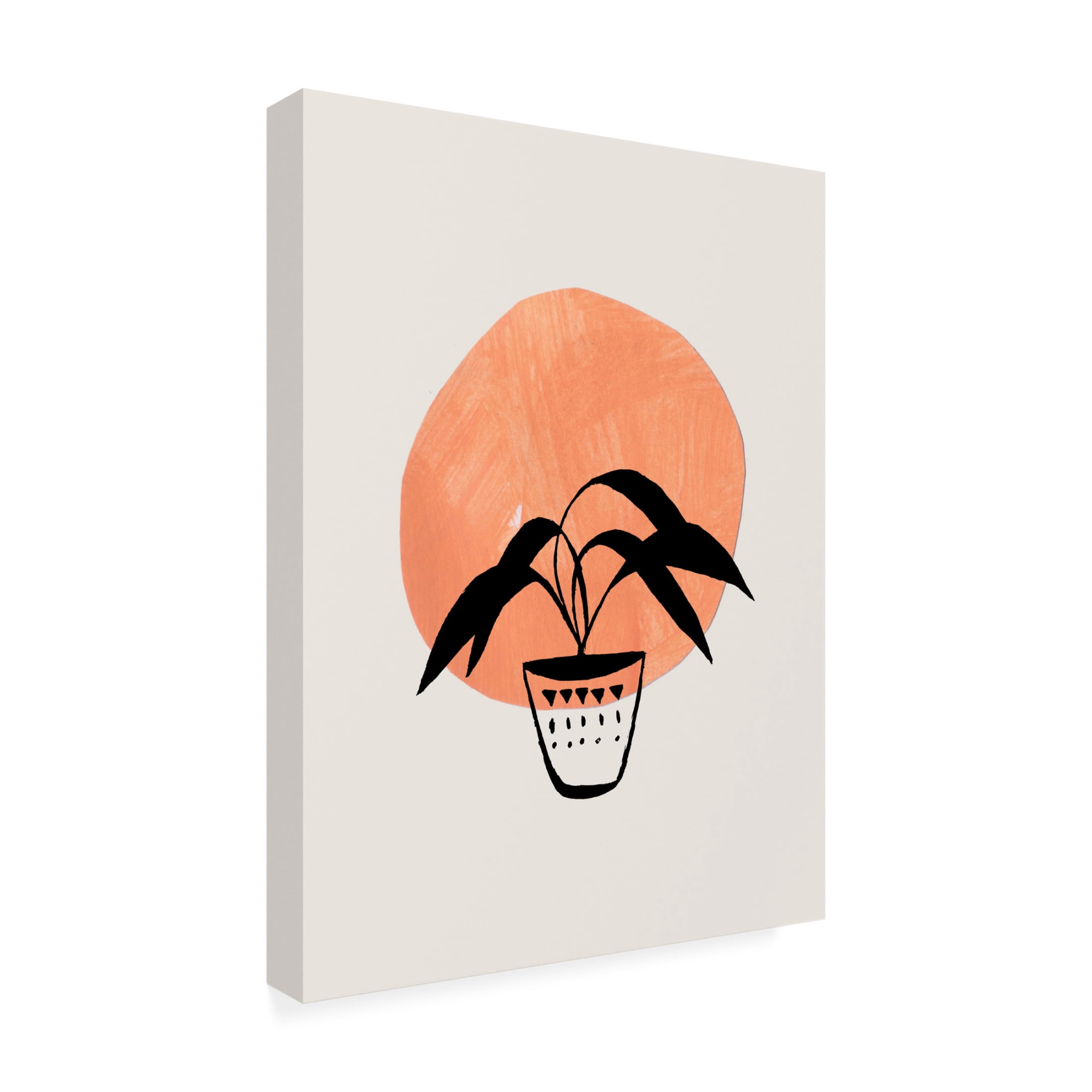 Trademark Fine Art Ejaaz Haniff  Clay Pot Canvas Wall Art