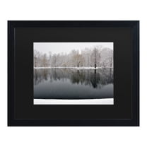 Trademark Fine Art 'Snowy Pond' Canvas Art by Kurt Shaffer