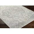 thumbnail image 3 of BoutiqueRugs Nessa Oriental Medallion Area Rug - Farmhouse Traditional Floral Carpet for Living Room - Light Gray - 5'3" x 7'7" (5x7), 3 of 8