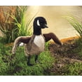 thumbnail image 2 of Marioneta de mano Folkmanis Canada Goose Brown, 2 of 3