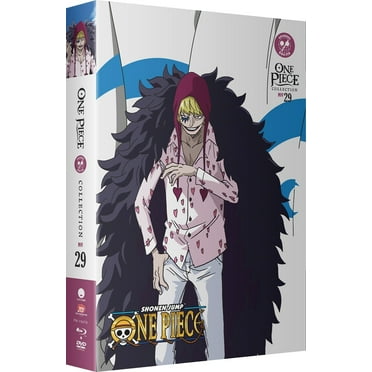 New One Piece: Collection 29 (Blu-ray   DVD)