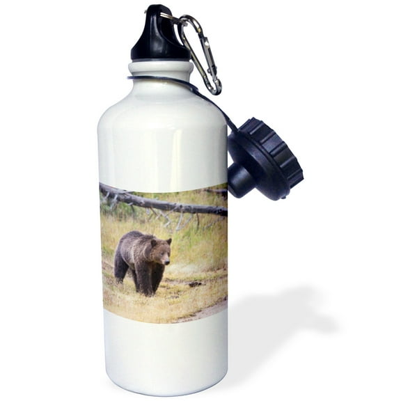 3dRose, Wyoming, Yellowstone National Park, Grizzly Bear., 21 oz Sports Water Bottle