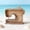 D, variant on Zeiwohndc Seashells Holders Wooden Seashells Display Box for Shark Teeth Collections