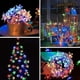 thumbnail image 2 of Cadena de luces de flores, 20 luces LED de cerezo en flor, decoración impermeable para valla de jardín, 2 of 2