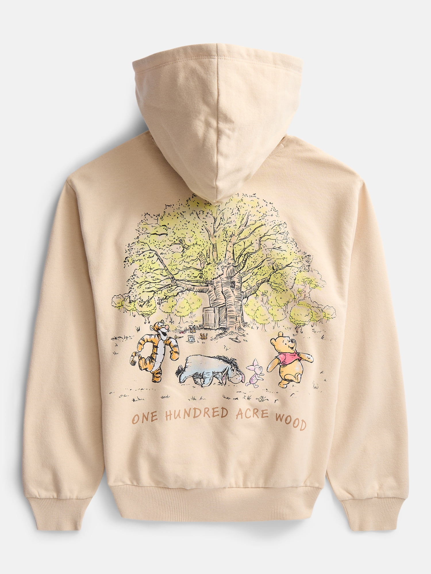 Disney Winne the Pooh Girls Hundred Acre Woods Graphic Fleece Hoodie, Sizes 4-16