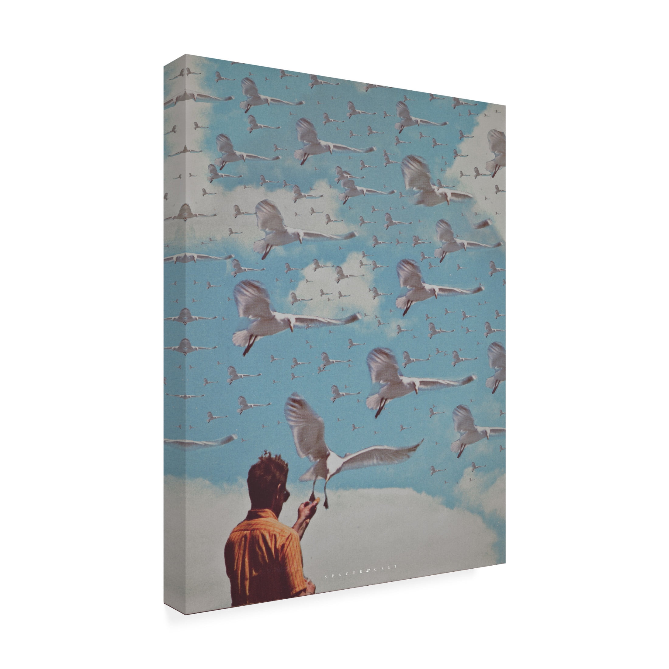 Trademark Fine Art spacerocket art 179 Canvas Wall Art