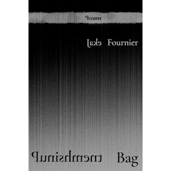 Mary Burritt Christiansen Poetry Punishment Bag: Poems, (Paperback)