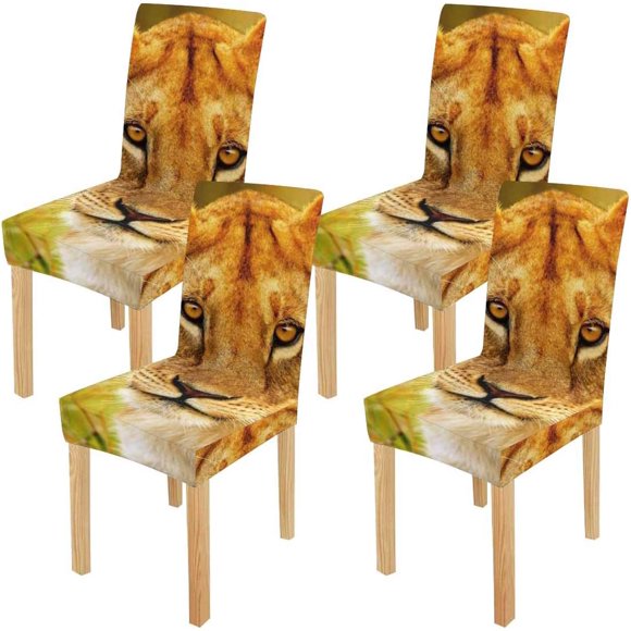 Lion Face Walmart Canada