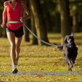 thumbnail image 2 of Running Dog Leash Kit Ideal For Running, Jogging And Walking - Hands Free Leash, 2 of 4