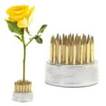 thumbnail image 6 of Cheers.US Flower Frog Round Flower Arranger Frog Flower Fixed Tools Japanese Flower Holder Flower Frogs for Arrangements, 6 of 7