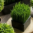 thumbnail image 2 of Faux Grass in Black Pot, 2 of 10