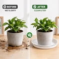 thumbnail image 5 of 16 Pack Plastic Plant Saucers, 6/8/10/12 inches Plant Tray for Pots, Heavy Duty Plant Drip Trays，Flower Water Trays for Indoor Outdoor Plants, 5 of 9