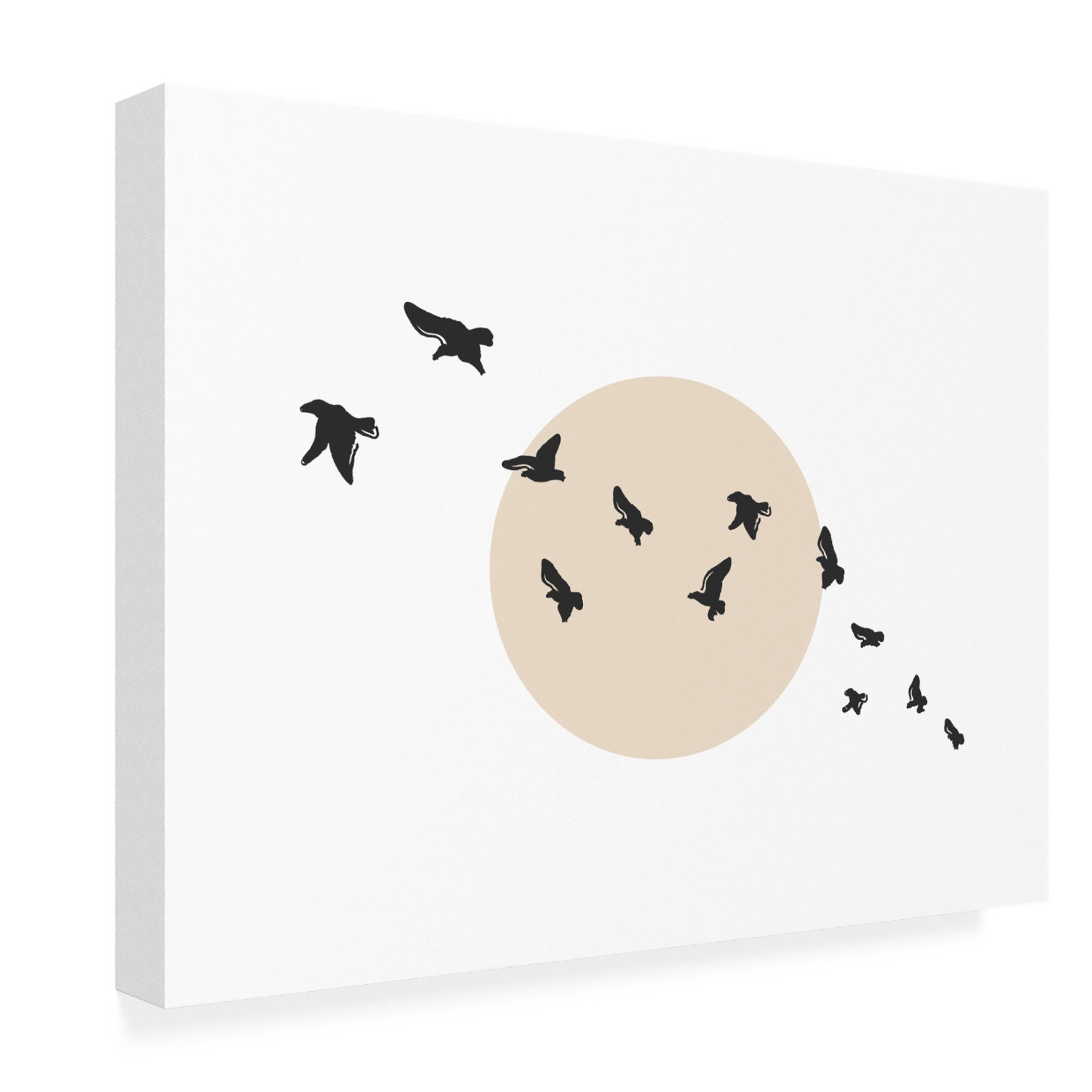Trademark Fine Art Beth Cai Flock Canvas Wall Art