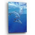 thumbnail image 1 of Epic Art 'Under Sea Dolphins' by Tim O'Toole, Acrylic Glass Wall Art, 24"x36", 1 of 3