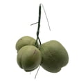 thumbnail image 1 of Fruit Ornament Artificial Coconut Fake Farmhouse Decor Simulated Fruit Props, 1 of 1