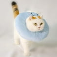 thumbnail image 5 of Cat Recovery Collar Soft,Cute Pet E-Collar Neck Cone After Surgery Wound Healing Protective Cone Fit for Kitties, Small Dogs, 5 of 6