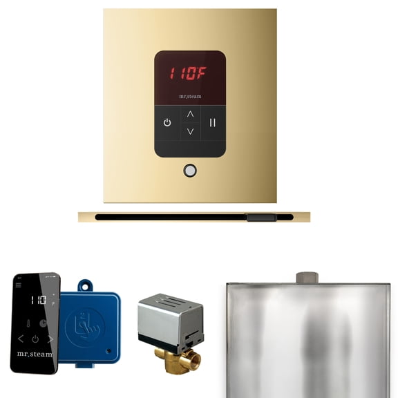Mr Steam Basic Butler Steam Shower w/Square iTempo Control and Linear Steamhead in Polished Brass