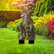 thumbnail image 5 of Estacas de jardín acrílicas de estilo bohemio con hadas y colibríes | Pila decorativa para patios y caminos, 5 of 5