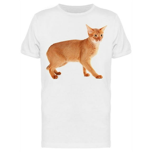 Purebred Abyssinian Cat. T-Shirt Men -Image by Shutterstock, Male XX-Large