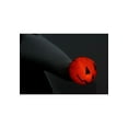 thumbnail image 3 of Nightmare Before Christmas Foulard Zéro, 3 of 3
