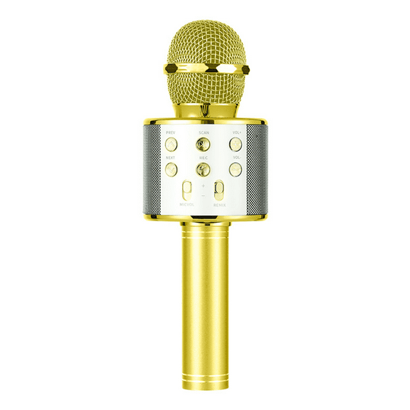 Bluetooth Karaoke Microphone for Kids, Toy for 4 5 6 7 8 Year Old Girls and Boys(gold)