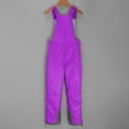 thumbnail image 6 of Blekii Kids Insulated Water-Resistant Overalls, Snowboard Ski Pants Adjustable Winter Sports Wear with Pockets, 6 of 9