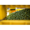 thumbnail image 4 of Partanna Whole Castelvetrano Olives - Authentic Sicilian - Product Of Italy - Premium Handpicked Imported Italian Green Olives Great For Every Occasion - 12 oz Jar, 4 of 11