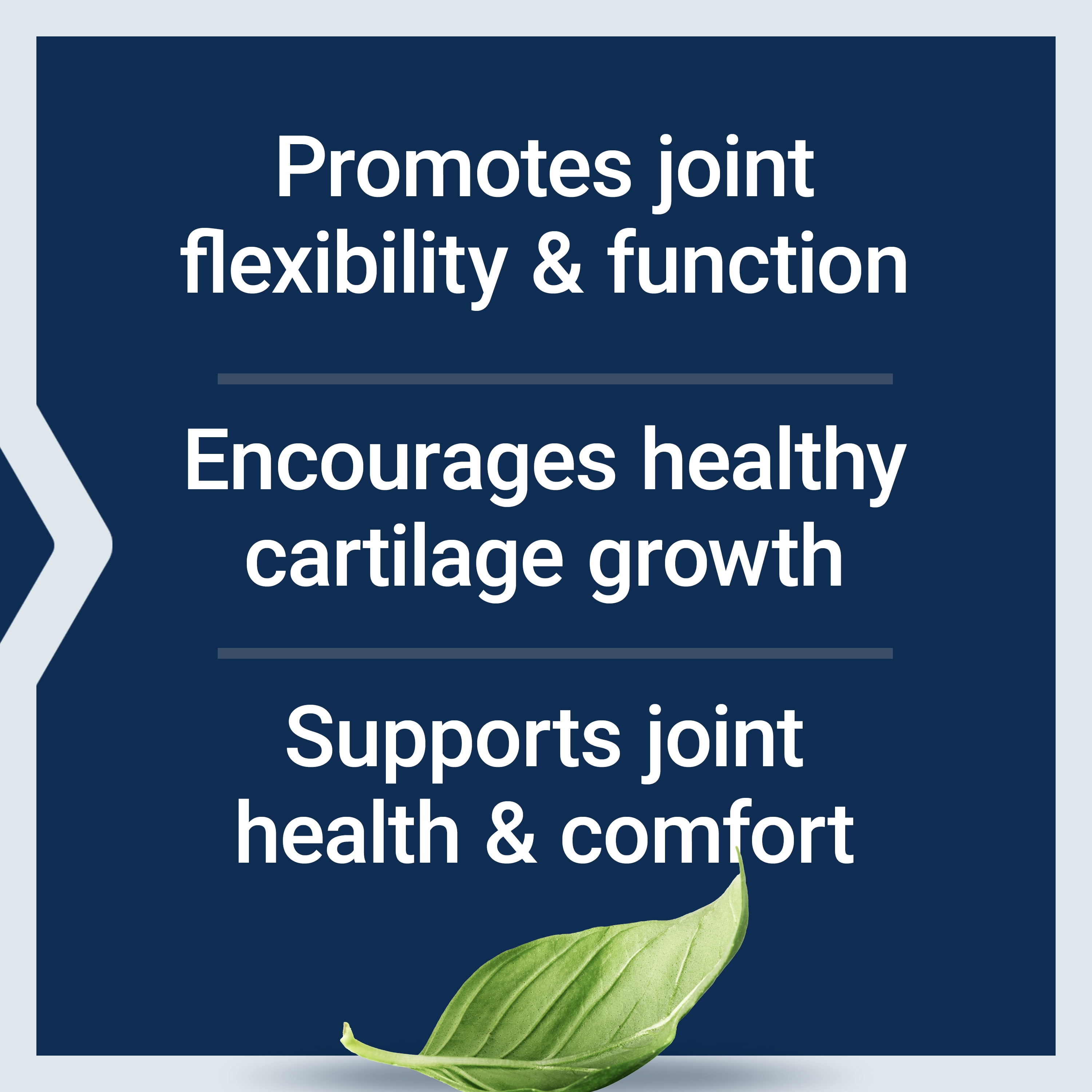 Life Extension NT2 Collagen™, 40 mg - Joint Health Supplement Supports Joint Comfort & Mobility - Gluten-Free, Non-GMO - 60 Small Capsules (2-Month Supply)