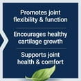 thumbnail image 5 of Life Extension NT2 Collagen™, 40 mg - Joint Health Supplement Supports Joint Comfort & Mobility - Gluten-Free, Non-GMO - 60 Small Capsules (2-Month Supply), 5 of 11