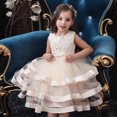thumbnail image 4 of Falda de malla de verano para niña, dulce princesa, falda de pastel, vestido de pasarela, ropa de actuación de piano, 4 of 6