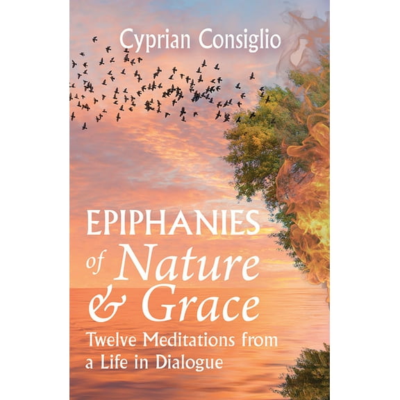 Epiphanies of Nature and Grace: Twelve Meditations from a Life in Dialogue, (Paperback)