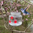 thumbnail image 2 of Mangeoire à Oiseaux Suspendue en Forme de Colibri, 2 of 6