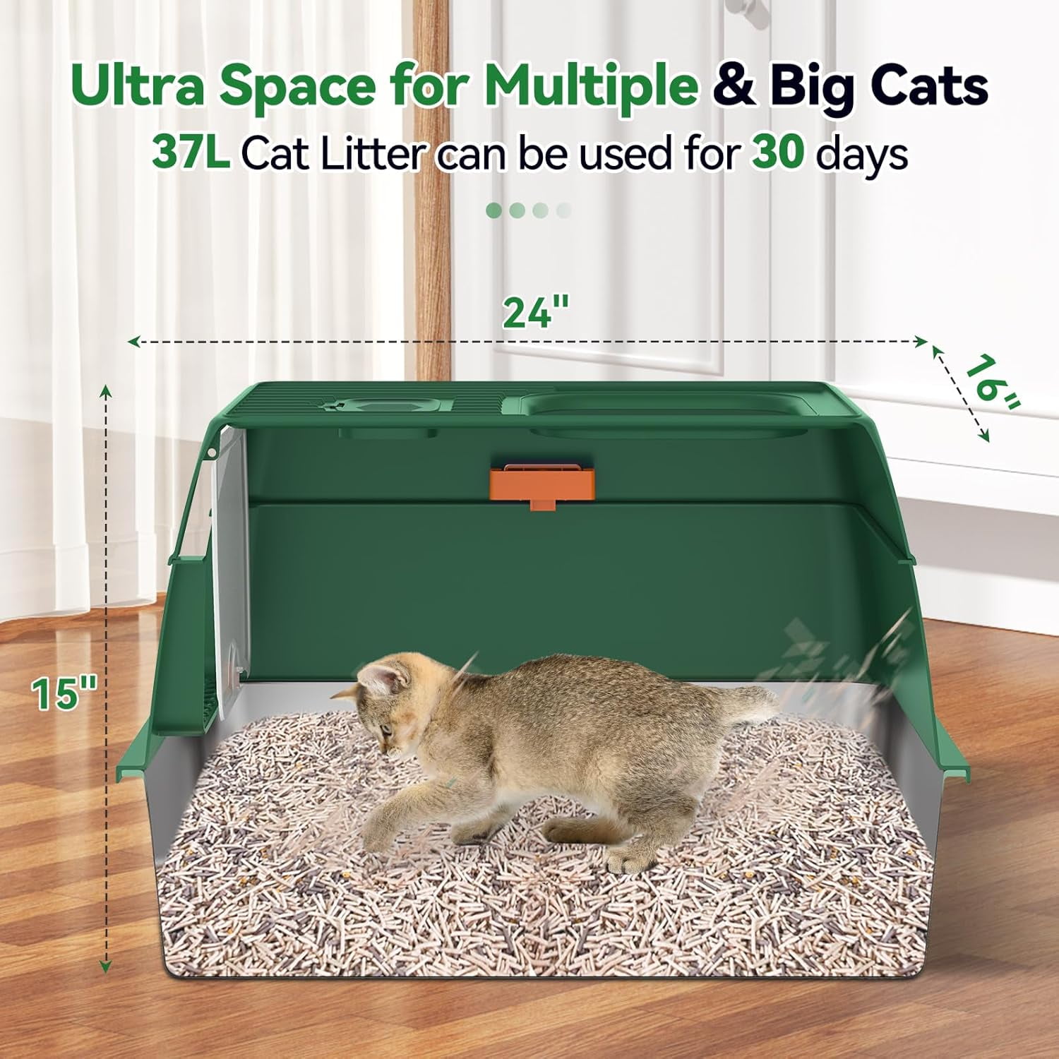 Stainless Steel Cat Litter Box with Removable Lid,Free in & Out Covered Metal Litter Box,Large Enclosed Litter Box with Litter Scoop & Mat, Easy Cleaning, Odor Free,Anti-Leakage for Kitty(Green)