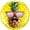 Mr. Cool Pineapple, variant on PMU Summer - Beach Balloon 18 Inch Mylar Striped Flip Flop Pkg/1