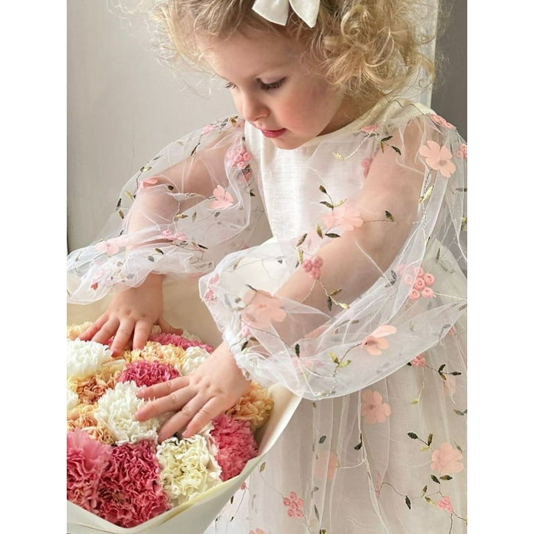 Big Sister Little Sister Matching Outfit Long Sleeve Floral Embroidered Mesh Romper Dress and Headband Walmart