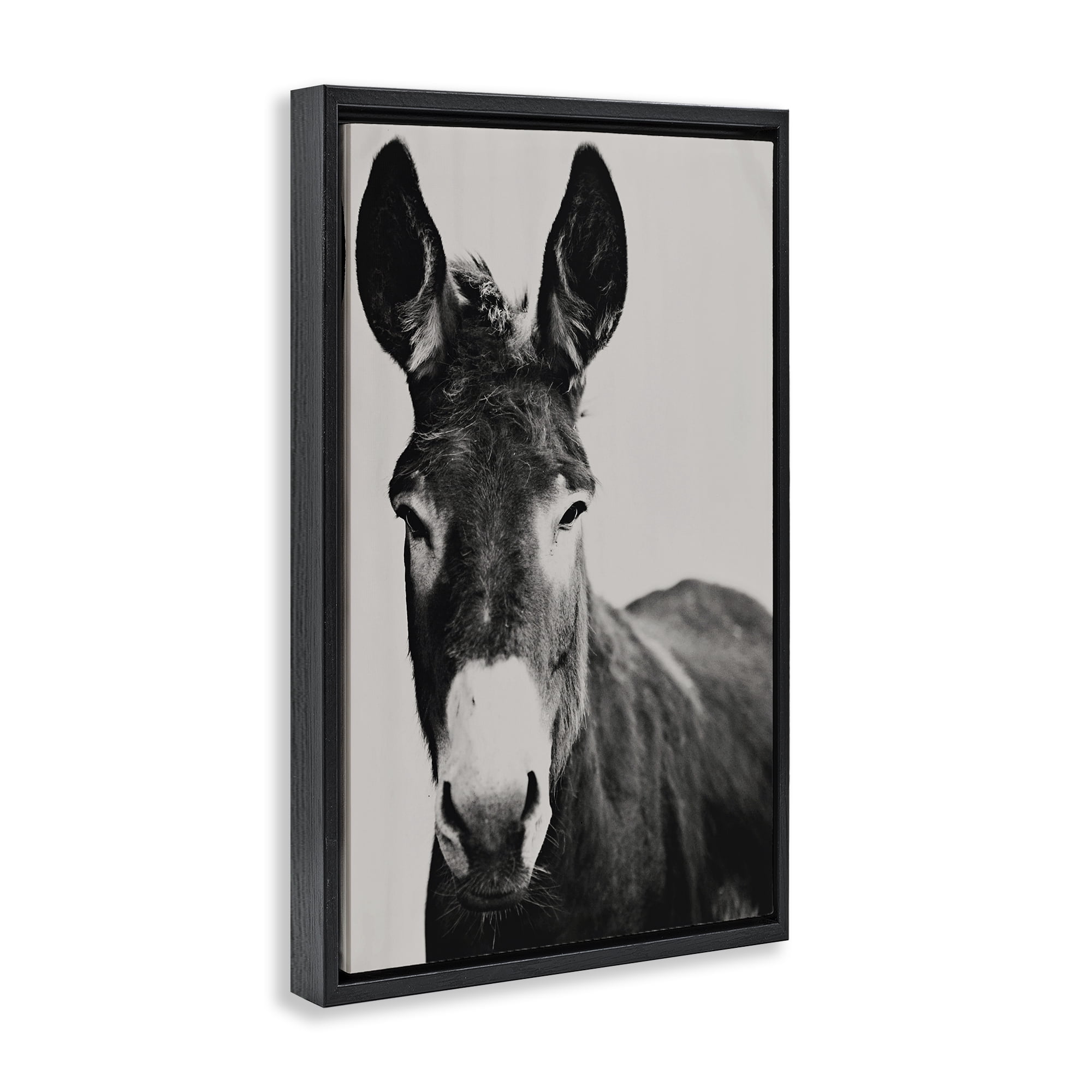 Stupell Industries Franz the Donkey Portrait Black Framed Floater Canvas Wall Art, design by Amy Carroll