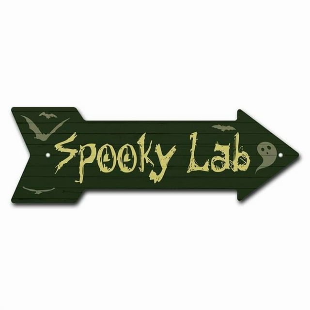 SignMission P-ARROW8-999597 8 x 24 Po Signe Flèche de Laboratoire Effrayant Large