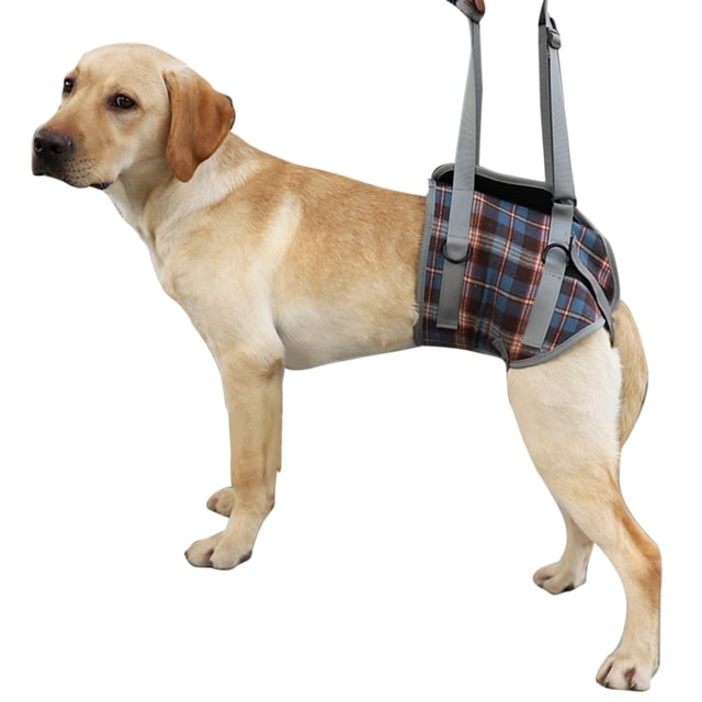 Arnés de elevación para perros Eslinga de asistencia con cinturón auxiliar transpirable ajustable profesional para perros discapacitados de gran edad Pata trasera a cuadros azules M (se recomienda d