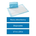 thumbnail image 4 of McKesson Procedure Underpads, Non-Sterile, 17 in x 24 in, 300 Ct, 4 of 12