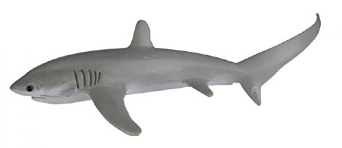 Thresher Shark 2014 Safari Ltd Wild Safari Sea Life 200229 for sale online 