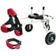 thumbnail image 2 of Sillas de ruedas para perros, sillas de ruedas para mascotas, perros que ya no pueden usar sus patas traseras y ayudan a apoyar a perros discapacitados paralizados ER, 2 of 5