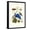 Black Frame, variant on Art.com Grapevine with Gaudy Spinx Moth Stretched Canvas Print Wall Art by Maria Sibylla Merian, 12" x 18"