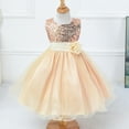 thumbnail image 5 of Kids Girls Flower Lace Wedding Bridesmaid Party Grown Princess Dress, 3-10Y, 5 of 6