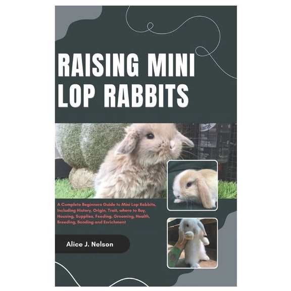 Raising Mini Lop Rabbits: A Complete Beginners Guide to Mini Lop Rabbits, Including History, Origin, Trait, where to Buy, (Paperback)