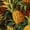 Color 2, variant on Peel and Stick Wallpaper Blue Tropical Pineapple Hibiscus Floral 17.7in x 118in Contact Paper Removable Self Adhesive Wall Mural Wall Decor for Bedroom Kitchen Cabinets