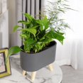 thumbnail image 1 of de riego ático pequeña con 2 agujeros dobles, de interior con sustrato de s para Aloe, hierba, Negro con Pierna Macarena Jardinera de riego automático, 1 of 5