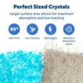 thumbnail image 5 of (2 pack) PetSafe ScoopFree Premium Crystal Cat Litter, Fresh Scent, Silica Crystals, 4.3 lb, 2-Pack, Blue, 5 of 8