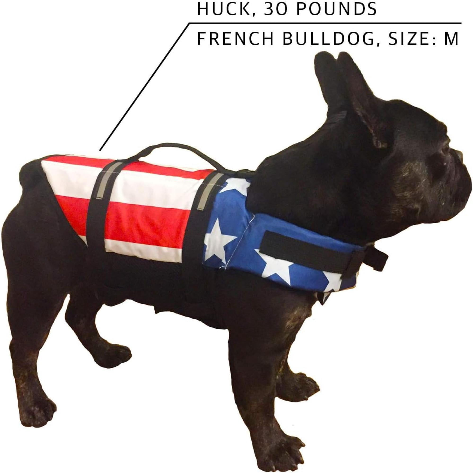 Dog Jacket for Small & Medium Dogs – Warm Lightweight Pet Coat with Soft Padding for Outdoor & Everyday Use